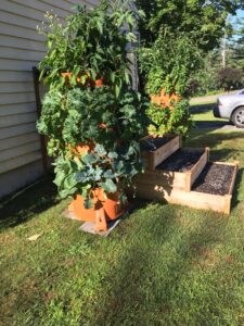 Picture of vertical garden tower