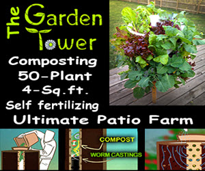 Garden Tower Project site